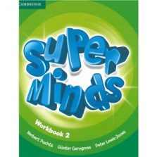 Super Minds 2 Workbook