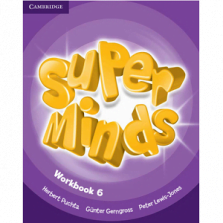 Super Minds 6 Workbook pdf